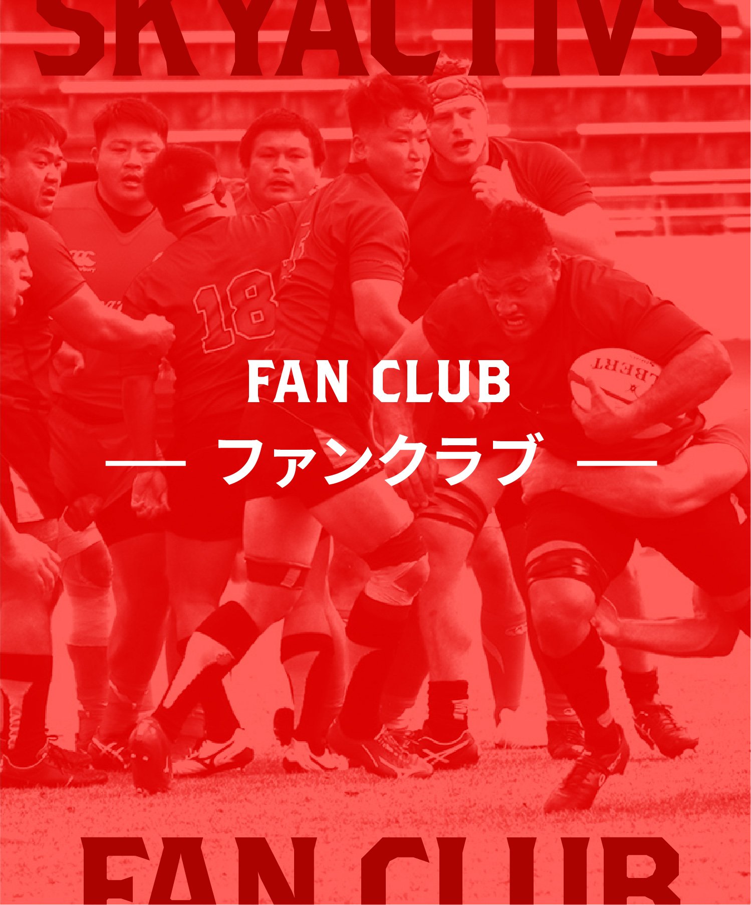 ファンクラブのバナーリンク